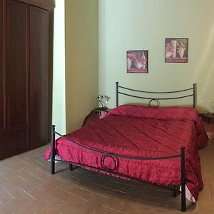 Camera standard con letto king size